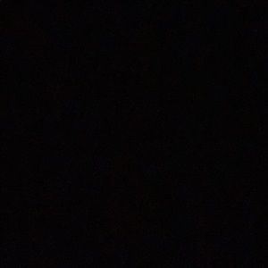 Meet your Posher, Ty